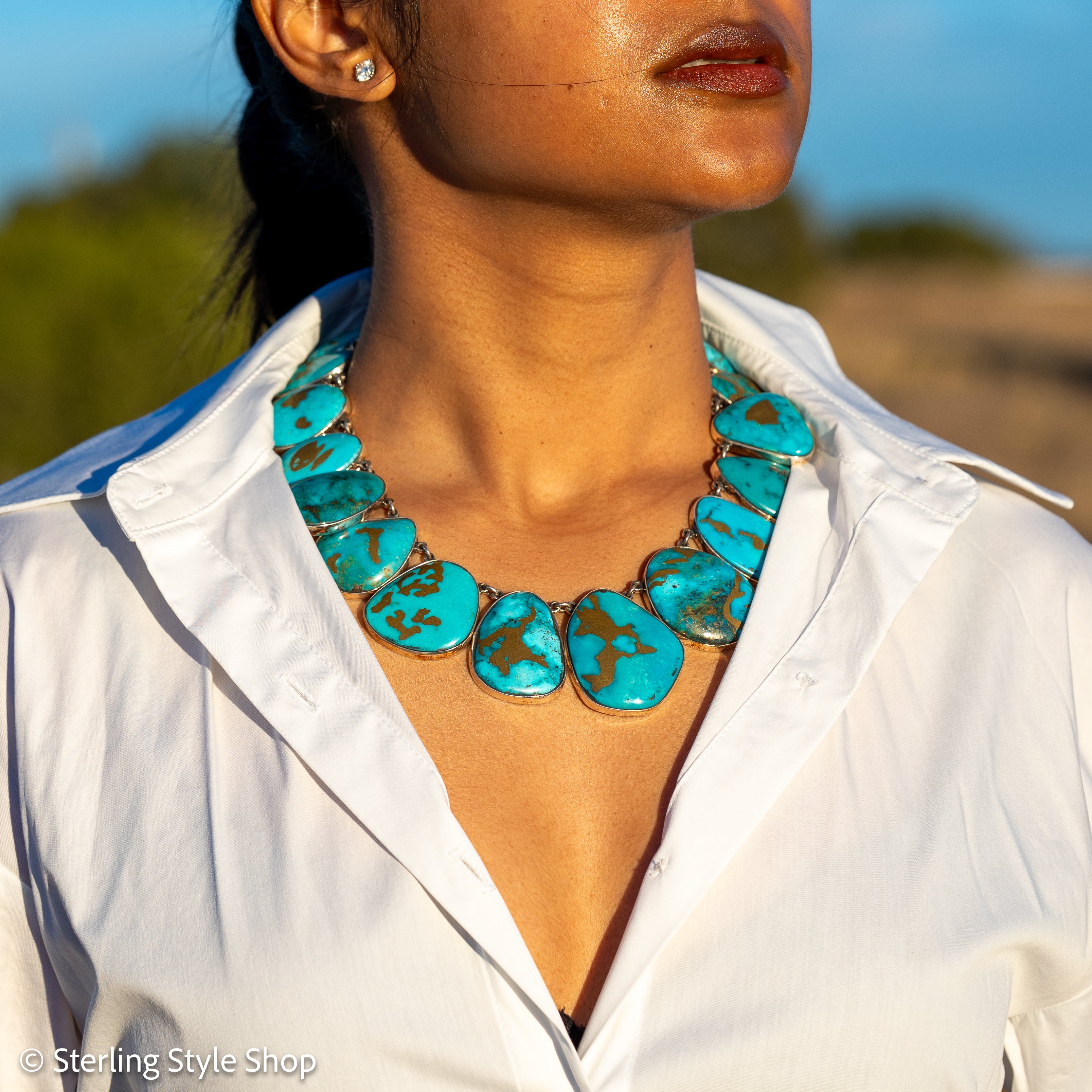 Federico Jimenez Copper Canyon Turquoise Collar Necklace