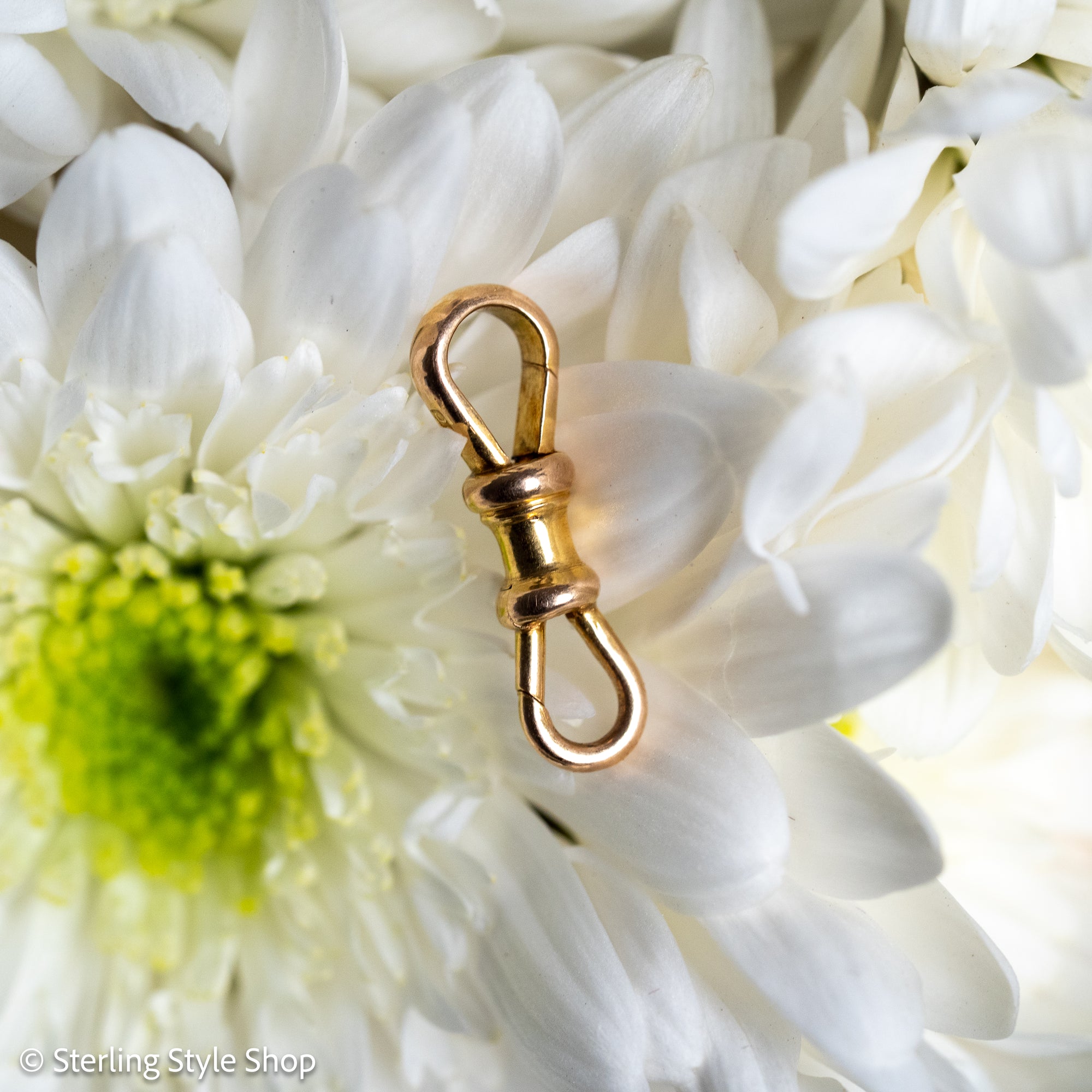 Rare Antique 9 Carat Gold Double Dog Clip