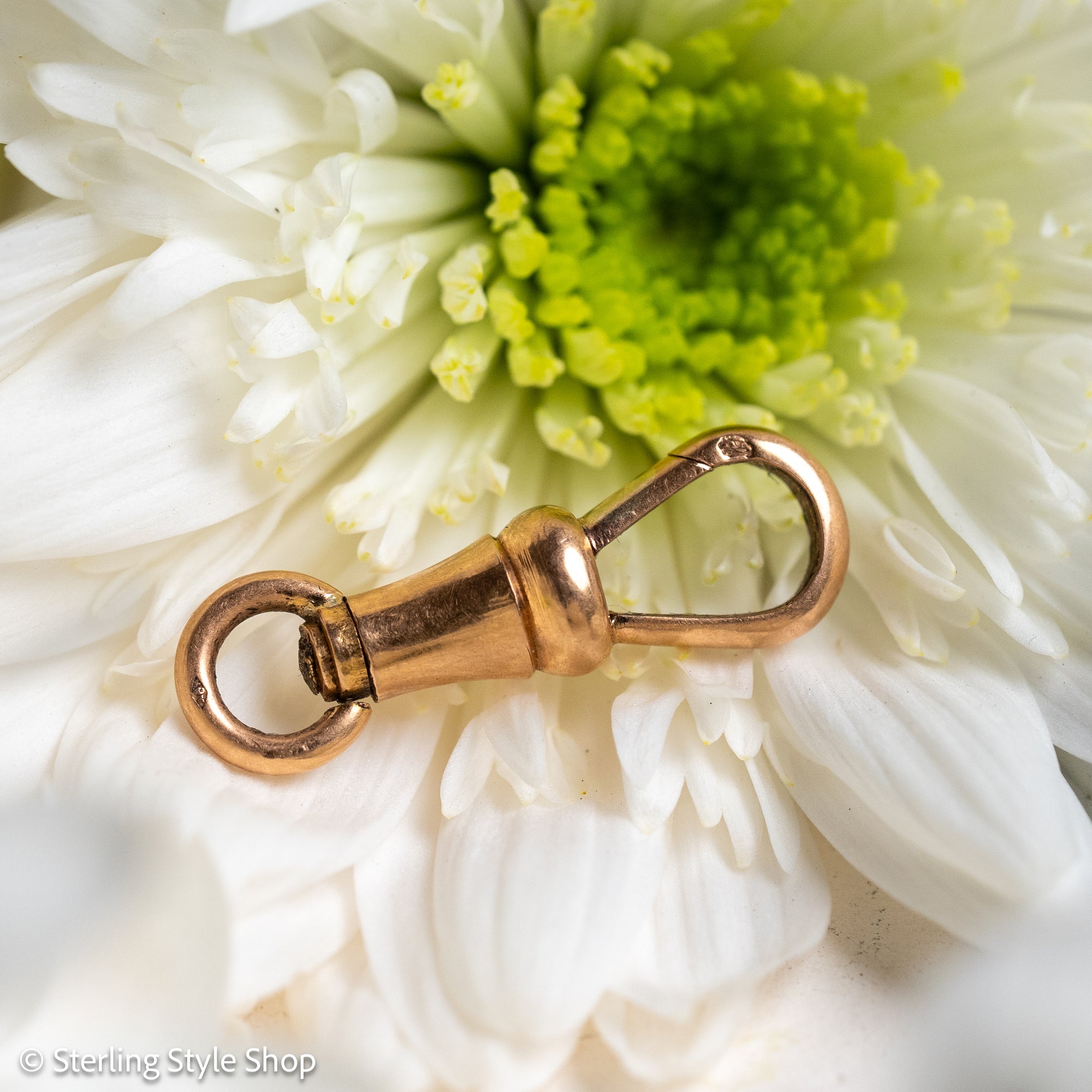 French 18 Karat Gold Dog Clip with Eagle Head Hallmark