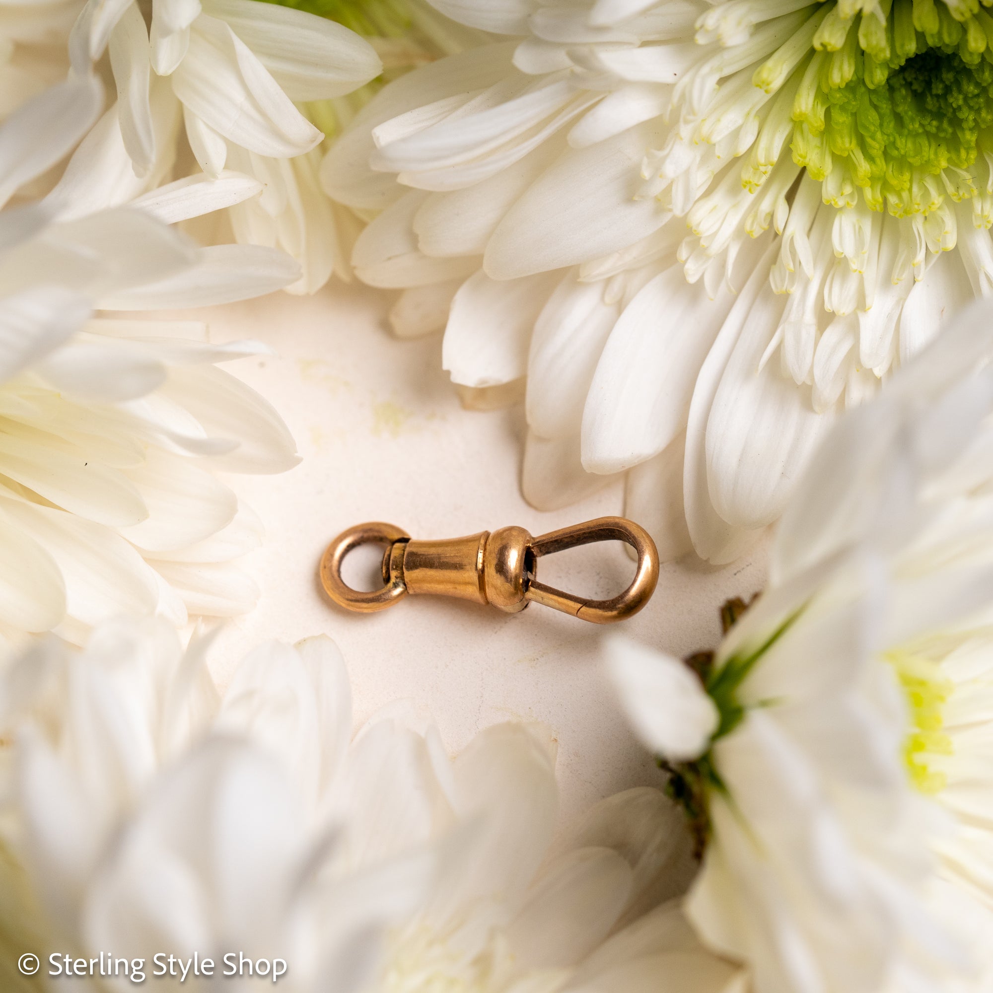 French 18 Karat Gold Dog Clip with Eagle Head Hallmark